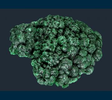 TSM-02 Malachite from Mashamba West Mine, Kolwezi District, Katanga Copper Crescent, Katanga (Shaba), Democratic Republic of Congo (Zaïre) TSM-02 Malachite from Mashamba West Mine, Kolwezi District, Katanga Copper Crescent, Katanga (Shaba), Democratic Republic of Congo (Zaïre)