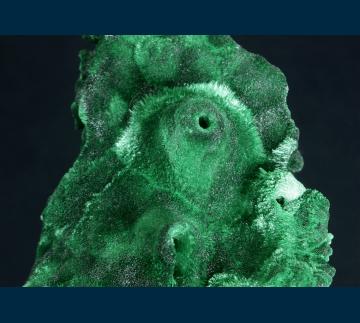 TSM-03 Malachite from Mashamba West Mine, Kolwezi District, Katanga Copper Crescent, Katanga (Shaba), Democratic Republic of Congo (Zaïre) TSM-03 Malachite from Mashamba West Mine, Kolwezi District, Katanga Copper Crescent, Katanga (Shaba), Democratic Republic of Congo (Zaïre)