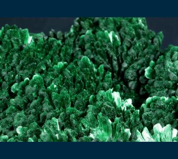 TSM-05 Malachite from Mashamba West Mine, Kolwezi District, Katanga Copper Crescent, Katanga (Shaba), Democratic Republic of Congo (Zaïre) TSM-05 Malachite from Mashamba West Mine, Kolwezi District, Katanga Copper Crescent, Katanga (Shaba), Democratic Republic of Congo (Zaïre)