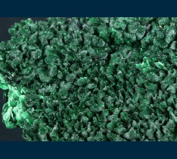 TSM-05 Malachite from Mashamba West Mine, Kolwezi District, Katanga Copper Crescent, Katanga (Shaba), Democratic Republic of Congo (Zaïre) TSM-05 Malachite from Mashamba West Mine, Kolwezi District, Katanga Copper Crescent, Katanga (Shaba), Democratic Republic of Congo (Zaïre)