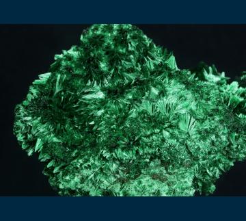 TSM-06 Malachite from Mashamba West Mine, Kolwezi District, Katanga Copper Crescent, Katanga (Shaba), Democratic Republic of Congo (Zaïre) TSM-06 Malachite from Mashamba West Mine, Kolwezi District, Katanga Copper Crescent, Katanga (Shaba), Democratic Republic of Congo (Zaïre)