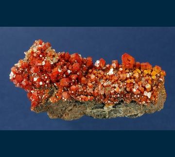 RG0240 Vanadinite from North Geronimo Mine, Silver District, Trigo Mts., La Paz County, Arizona, USA RG0240 Vanadinite from North Geronimo Mine, Silver District, Trigo Mts., La Paz County, Arizona, USA