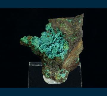 JL3-05 Chrysocolla (pseudo Brochantite) from Reward Mine, Russ District, Inyo Co., California, USA