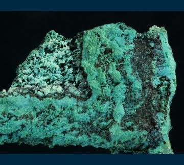 JL3-11 Chrysocolla from Reward Mine, Russ District, Inyo Co., California, USA JL3-11 Chrysocolla from Reward Mine, Russ District, Inyo Co., California, USA
