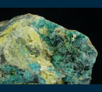 JL3-12 Caledonite on Perite from Reward Mine, Russ District, Inyo Co., California, USA JL3-12 Caledonite on Perite from Reward Mine, Russ District, Inyo Co., California, USA