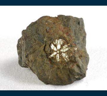 JSI-02 Muscovite (pseudo Cordierite) from Kameoka City, Kyoto Prefecture, Kinki Region, Honshu Island, Japan JSI-02 Muscovite (pseudo Cordierite) from Kameoka City, Kyoto Prefecture, Kinki Region, Honshu Island, Japan