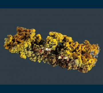 RG0823-1 Goethite stalactite from 79 Mine, Banner District, Dripping Springs Mts., Gila County, Arizona, USA RG0823-1 Goethite stalactite from 79 Mine, Banner District, Dripping Springs Mts., Gila County, Arizona, USA