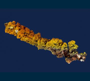 RG0823-3 Goethite stalactite from 79 Mine, Banner District, Dripping Springs Mts., Gila County, Arizona, USA RG0823-3 Goethite stalactite from 79 Mine, Banner District, Dripping Springs Mts., Gila County, Arizona, USA