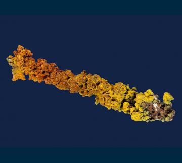 RG0823-3 Goethite stalactite from 79 Mine, Banner District, Dripping Springs Mts., Gila County, Arizona, USA RG0823-3 Goethite stalactite from 79 Mine, Banner District, Dripping Springs Mts., Gila County, Arizona, USA