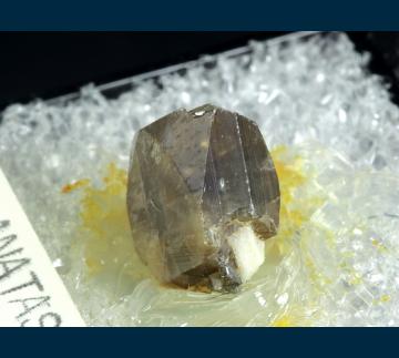 TN342 Anatase from Unnamed prospect, Minas Gerais, Brazil TN342 Anatase from Unnamed prospect, Minas Gerais, Brazil