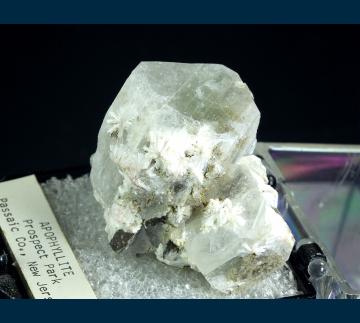 TN352 Apophyllite from Passaic Co., New Jersey, USA TN352 Apophyllite from Passaic Co., New Jersey, USA