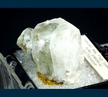 TN352 Apophyllite from Passaic Co., New Jersey, USA TN352 Apophyllite from Passaic Co., New Jersey, USA