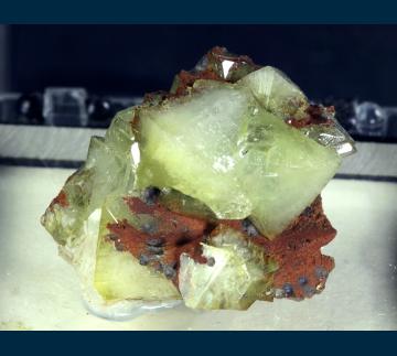 TN357 Adamite from Ojuela Mine, Mapimi District, Bufa de Mapimi, Mun. de Mapimi, Durango, Mexico