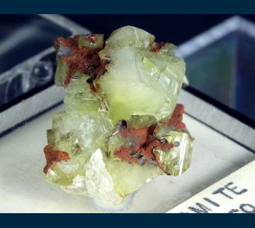 TN357 Adamite from Ojuela Mine, Mapimi District, Bufa de Mapimi, Mun. de Mapimi, Durango, Mexico