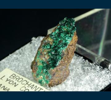TN366 Brochantite from Douglas Hill Mine, Ludwig, Yerington District, Lyon Co., Nevada, USA TN366 Brochantite from Douglas Hill Mine, Ludwig, Yerington District, Lyon Co., Nevada, USA