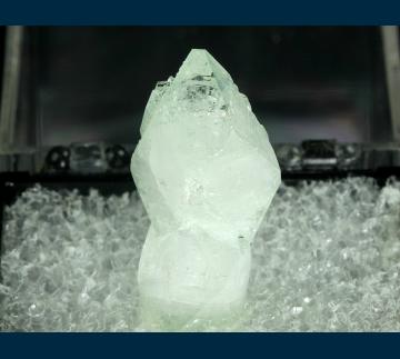 TN369 Apophyllite from Pune (Poonah) District, Lonavala, Maharashtra, India TN369 Apophyllite from Pune (Poonah) District, Lonavala, Maharashtra, India