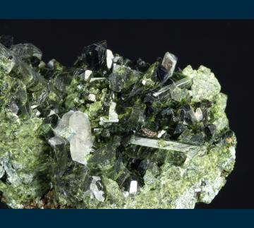 CL-19 Epidote Quartz Grossular on Diopside from Coyote Range, Bishop, Bishop District, Inyo Co., California, USA