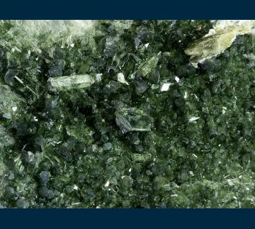 CL-29 Diopside with Epidote from Mt. Tom, near Bishop, Inyo Co., California