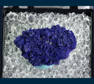 TN400 Azurite from Morenci, Clifton-Morenci District, Greenlee County, Arizona, USA TN400 Azurite from Morenci, Clifton-Morenci District, Greenlee County, Arizona, USA