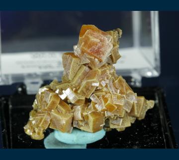 TN404 Wulfenite from Stevenson-Bennett Mine, Organ District, Organ Mts., Dona Ana County, New Mexico, USA TN404 Wulfenite from Stevenson-Bennett Mine, Organ District, Organ Mts., Dona Ana County, New Mexico, USA