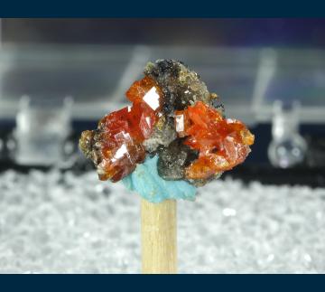 TN410 Wulfenite from Melissa Mine, Silver District, Trigo Mts., La Paz County, Arizona, USA