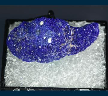 TN422 Azurite from Morenci, Clifton-Morenci District, Greenlee County, Arizona, USA TN422 Azurite from Morenci, Clifton-Morenci District, Greenlee County, Arizona, USA