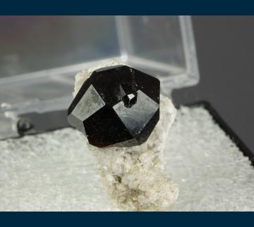 TN423 Almandine garnet from Garnet Hill, Ely, Robinson District, White Pine Co., Nevada, USA