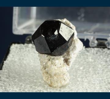 TN423 Almandine garnet from Garnet Hill, Ely, Robinson District, White Pine Co., Nevada, USA