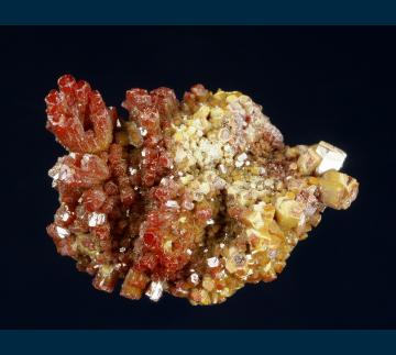BG18-01 Vanadinite from North Geronimo Mine, Silver District, Trigo Mts., La Paz County, Arizona, USA BG18-01 Vanadinite from North Geronimo Mine, Silver District, Trigo Mts., La Paz County, Arizona, USA