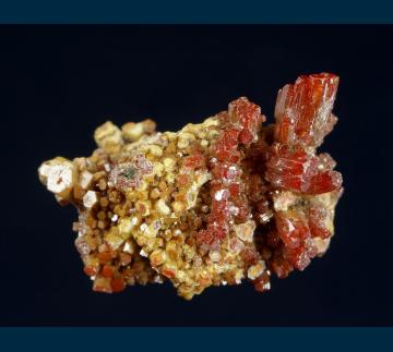BG18-01 Vanadinite from North Geronimo Mine, Silver District, Trigo Mts., La Paz County, Arizona, USA BG18-01 Vanadinite from North Geronimo Mine, Silver District, Trigo Mts., La Paz County, Arizona, USA