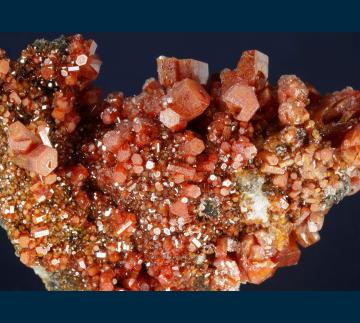 BG18-08 Vanadinite from North Geronimo Mine, Silver District, Trigo Mts., La Paz County, Arizona, USA BG18-08 Vanadinite from North Geronimo Mine, Silver District, Trigo Mts., La Paz County, Arizona, USA