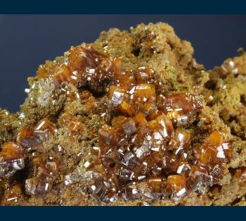BG18-13 Wulfenite with Descloizite, Mottramite? from Erupcion/Ahumada Mine, Los Lamentos District, Sierra de Los Lamentos, Municipio de Ahumada, Chihuahua, Mexico