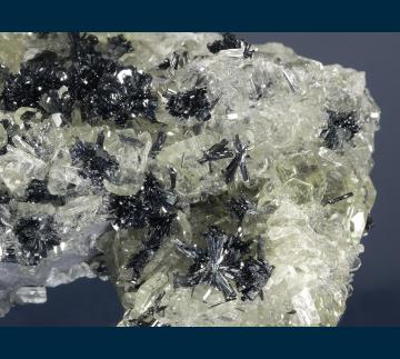 CMS027 Stibnite on Barite from Deep Post Mine, Lynn District, North of Carlin, Eureka County, Nevada, USA CMS027 Stibnite on Barite from Deep Post Mine, Lynn District, North of Carlin, Eureka County, Nevada, USA