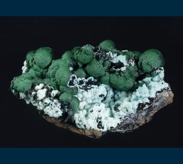 DRC-20 Malachite on Chrysocolla from L'Etoile du Congo Mine (Star of the Congo Mine), Lubumbashi, Katanga (Shaba), Democratic Republic of Congo (Zaire) DRC-20 Malachite on Chrysocolla from L'Etoile du Congo Mine (Star of the Congo Mine), Lubumbashi, Katanga (Shaba), Democratic Republic of Congo (Zaire)