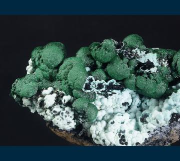 DRC-20 Malachite on Chrysocolla from L'Etoile du Congo Mine (Star of the Congo Mine), Lubumbashi, Katanga (Shaba), Democratic Republic of Congo (Zaire) DRC-20 Malachite on Chrysocolla from L'Etoile du Congo Mine (Star of the Congo Mine), Lubumbashi, Katanga (Shaba), Democratic Republic of Congo (Zaire)