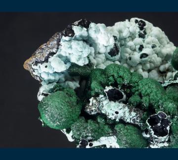 DRC-20 Malachite on Chrysocolla from L'Etoile du Congo Mine (Star of the Congo Mine), Lubumbashi, Katanga (Shaba), Democratic Republic of Congo (Zaire) DRC-20 Malachite on Chrysocolla from L'Etoile du Congo Mine (Star of the Congo Mine), Lubumbashi, Katanga (Shaba), Democratic Republic of Congo (Zaire)