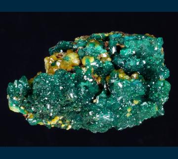 DDRC1 Dioptase with Mimetite from Mindouli District, Pool Dept., Republic of Congo DDRC1 Dioptase with Mimetite from Mindouli District, Pool Dept., Republic of Congo