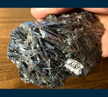 TF768 Stibnite from Ichinokawa Mine, Saijo, Ehime Prefecture, Shikoku, Japan TF768 Stibnite from Ichinokawa Mine, Saijo, Ehime Prefecture, Shikoku, Japan