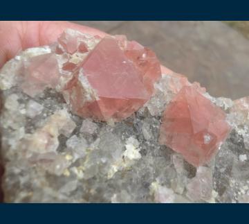 FR5a Fluorite on Quartz from Grimselpass, Bern Canton, Switzerland FR5a Fluorite on Quartz from Grimselpass, Bern Canton, Switzerland