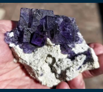 F194 Fluorite on Quartz from Camissinone Mine, Zogno, Brembana Valley, Bergamo Province, Lombardia Region, Italy F194 Fluorite on Quartz from Camissinone Mine, Zogno, Brembana Valley, Bergamo Province, Lombardia Region, Italy