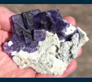 F194 Fluorite on Quartz from Camissinone Mine, Zogno, Brembana Valley, Bergamo Province, Lombardia Region, Italy F194 Fluorite on Quartz from Camissinone Mine, Zogno, Brembana Valley, Bergamo Province, Lombardia Region, Italy
