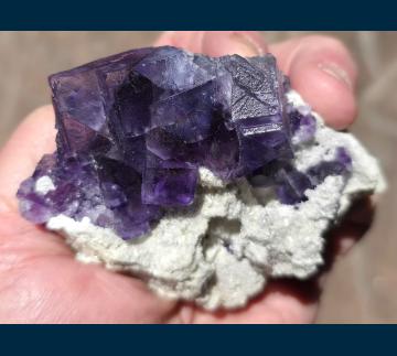 F194 Fluorite on Quartz from Camissinone Mine, Zogno, Brembana Valley, Bergamo Province, Lombardia Region, Italy F194 Fluorite on Quartz from Camissinone Mine, Zogno, Brembana Valley, Bergamo Province, Lombardia Region, Italy