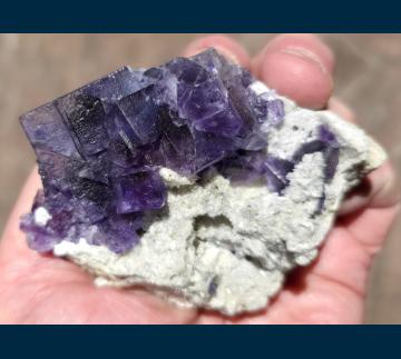 F194 Fluorite on Quartz from Camissinone Mine, Zogno, Brembana Valley, Bergamo Province, Lombardia Region, Italy F194 Fluorite on Quartz from Camissinone Mine, Zogno, Brembana Valley, Bergamo Province, Lombardia Region, Italy