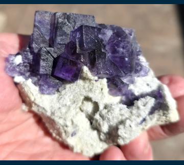 F194 Fluorite on Quartz from Camissinone Mine, Zogno, Brembana Valley, Bergamo Province, Lombardia Region, Italy F194 Fluorite on Quartz from Camissinone Mine, Zogno, Brembana Valley, Bergamo Province, Lombardia Region, Italy