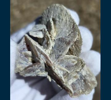 RG1239 Quartz ( pseudomorph of Gypsum ) from Crawford Dam, Crawford, Dawes Co., Nebraska, United States of America RG1239 Quartz ( pseudomorph of Gypsum ) from Crawford Dam, Crawford, Dawes Co., Nebraska, United States of America