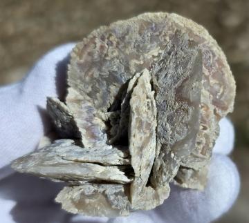 RG1239 Quartz ( pseudomorph of Gypsum ) from Crawford Dam, Crawford, Dawes Co., Nebraska, United States of America RG1239 Quartz ( pseudomorph of Gypsum ) from Crawford Dam, Crawford, Dawes Co., Nebraska, United States of America