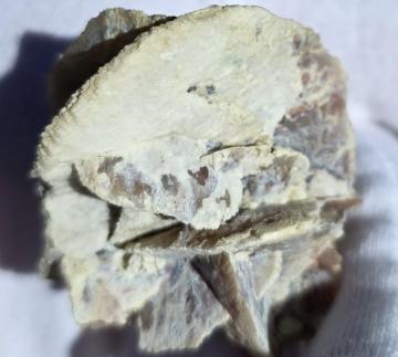 RG1239 Quartz ( pseudomorph of Gypsum ) from Crawford Dam, Crawford, Dawes Co., Nebraska, United States of America RG1239 Quartz ( pseudomorph of Gypsum ) from Crawford Dam, Crawford, Dawes Co., Nebraska, United States of America