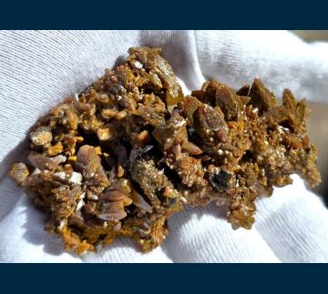 RG0131 Wulfenite from Ojuela Mine, Mapimi District, Bufa de Mapimi, Municipio de Mapimi, Durango, Mexico RG0131 Wulfenite from Ojuela Mine, Mapimi District, Bufa de Mapimi, Municipio de Mapimi, Durango, Mexico