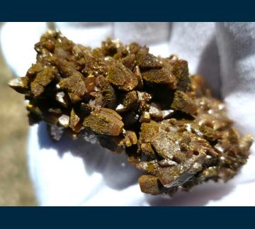 RG0131 Wulfenite from Ojuela Mine, Mapimi District, Bufa de Mapimi, Municipio de Mapimi, Durango, Mexico RG0131 Wulfenite from Ojuela Mine, Mapimi District, Bufa de Mapimi, Municipio de Mapimi, Durango, Mexico