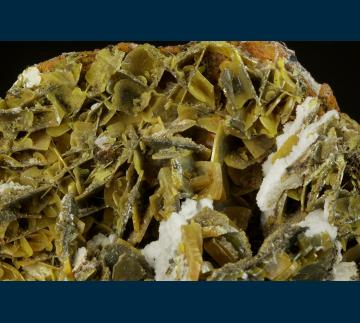 RG0484 Wulfenite from Stevenson-Bennett Mine, Organ District, Organ Mts., Dona Ana County, New Mexico, USA RG0484 Wulfenite from Stevenson-Bennett Mine, Organ District, Organ Mts., Dona Ana County, New Mexico, USA